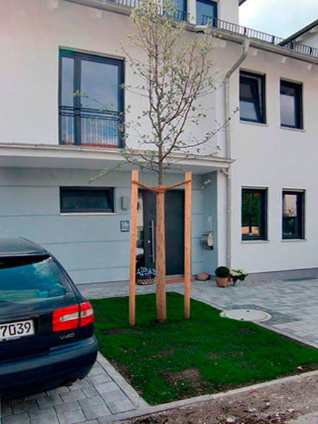 Errichtung eines zweigeschossigen Doppel-Hauses, München
